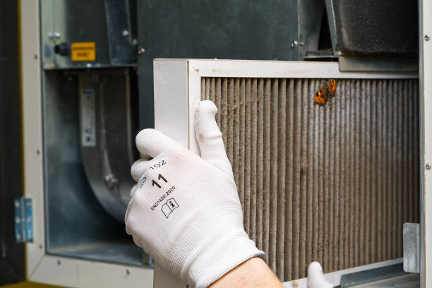 Best Dryer Vent Cleaning Services  in Dalton Gardens, ID