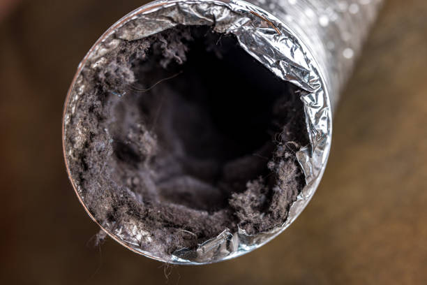 Best HVAC Air Duct Cleaning  in Dalton Gardens, ID