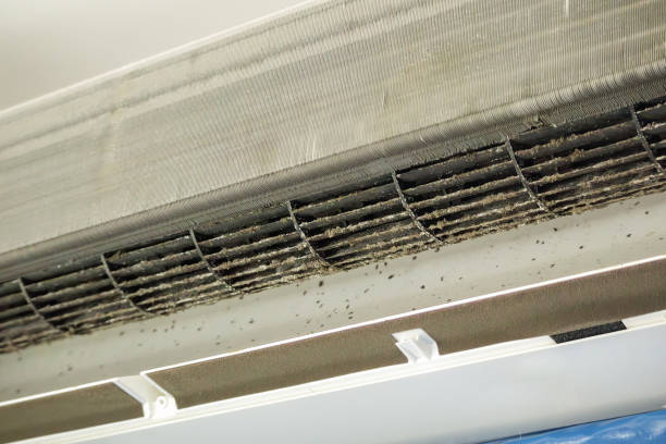 Best Air Vent Cleaning Services  in Dalton Gardens, ID